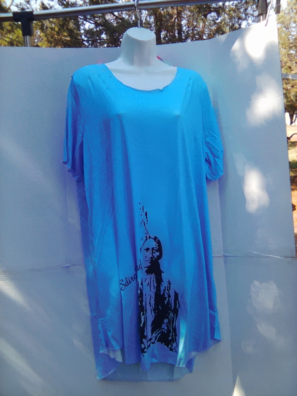 Casual Blue Graphic Women’s Dress